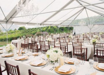 Best Tips to Select The Best Party Rentals