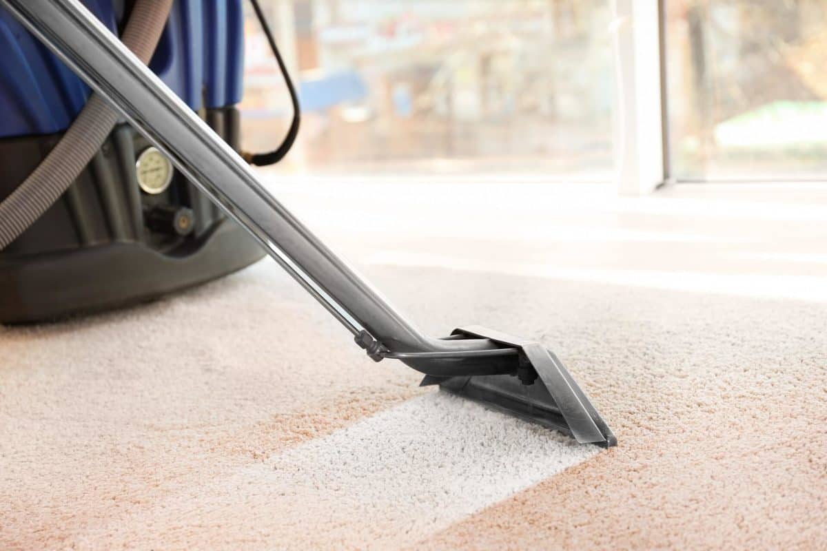 Why Do You Need Carpet Cleaning Services Urgently!